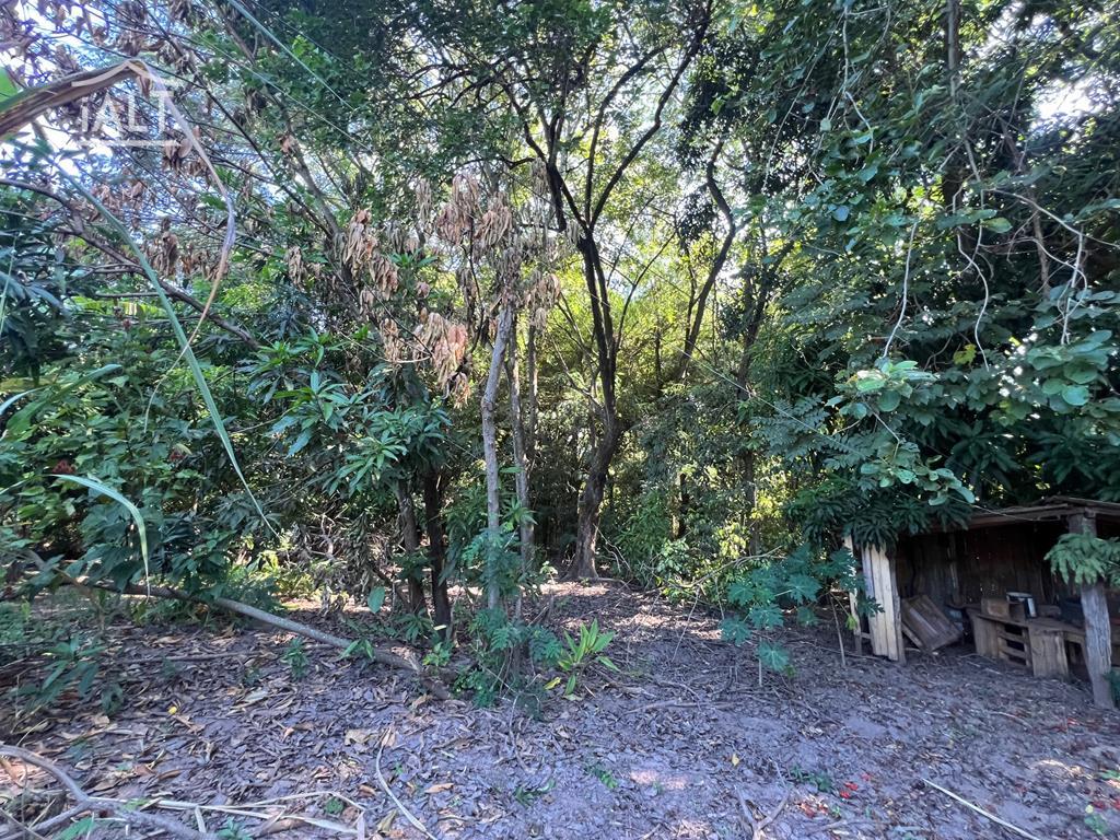 Chácara à venda em Jardim Dos Coqueiros Ii, Catanduva - foto 24 de 28