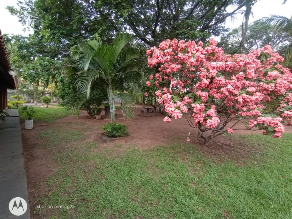 Chácara à venda em Jardim Dos Coqueiros Ii, Catanduva - foto 8 de 68
