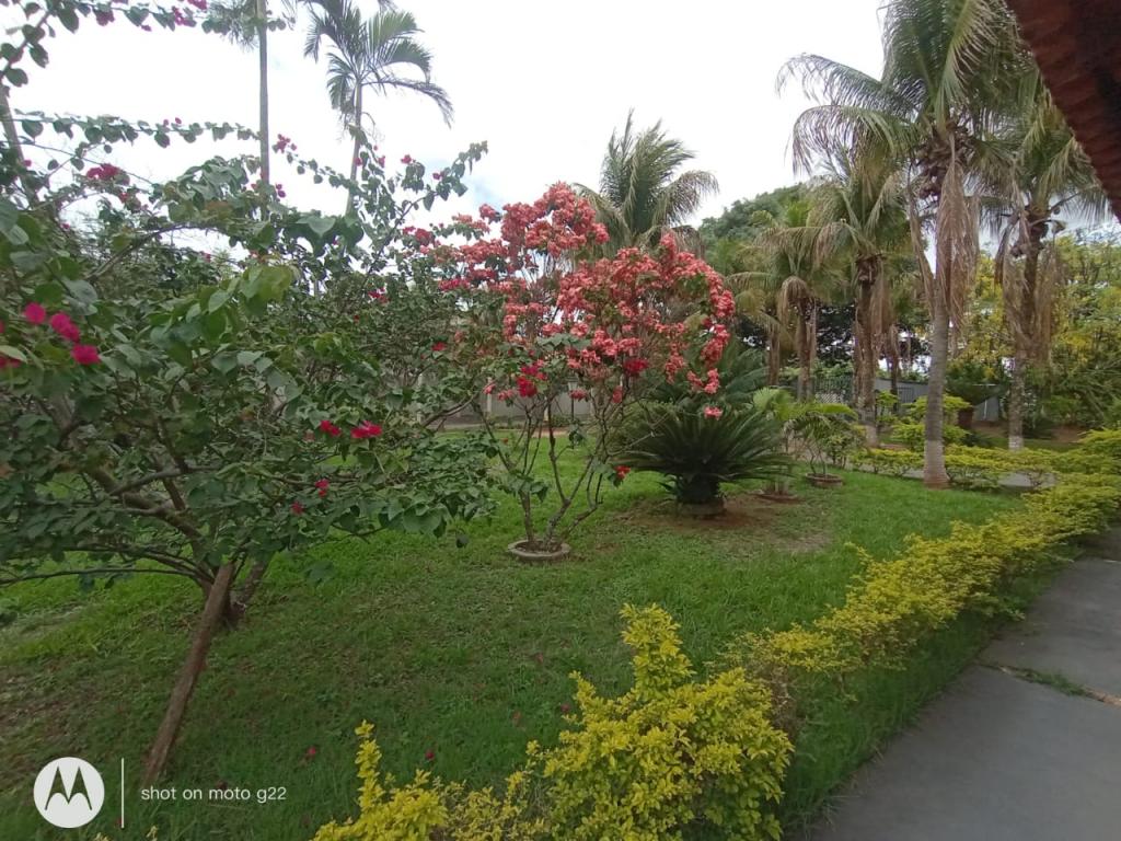 Chácara à venda em Jardim Dos Coqueiros Ii, Catanduva - foto 49 de 68