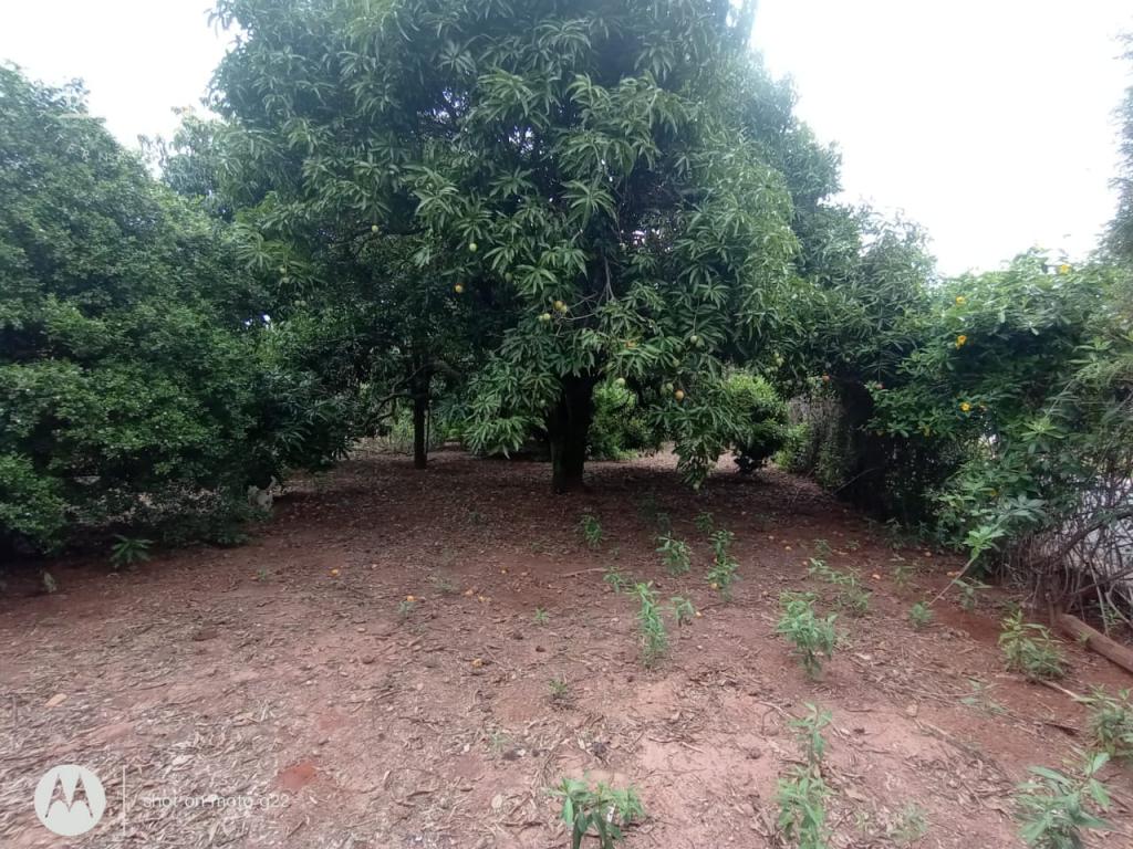 Chácara à venda em Jardim Dos Coqueiros Ii, Catanduva - foto 60 de 68