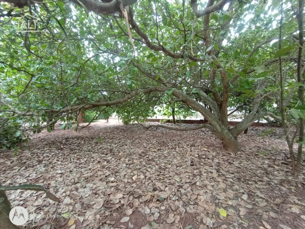 Chácara à venda em Jardim Dos Coqueiros Ii, Catanduva - foto 61 de 68