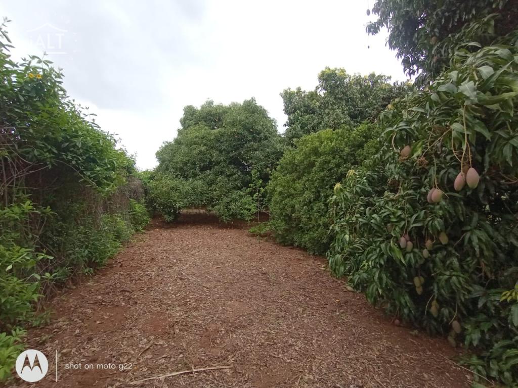 Chácara à venda em Jardim Dos Coqueiros Ii, Catanduva - foto 65 de 68