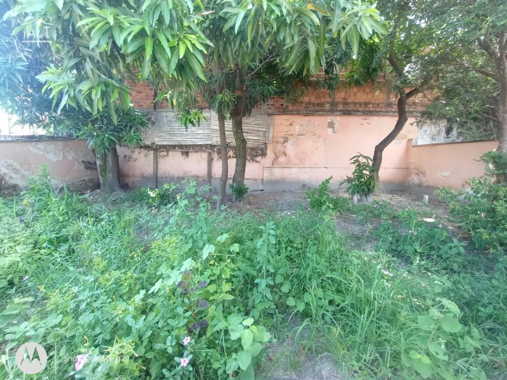 Casa à venda em Centro, Catanduva - foto 22 de 23