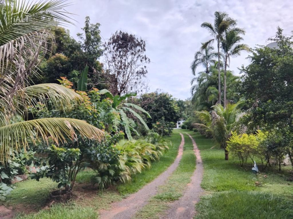 Chácara à venda em Jardim Oriental, Catanduva - foto 1 de 18