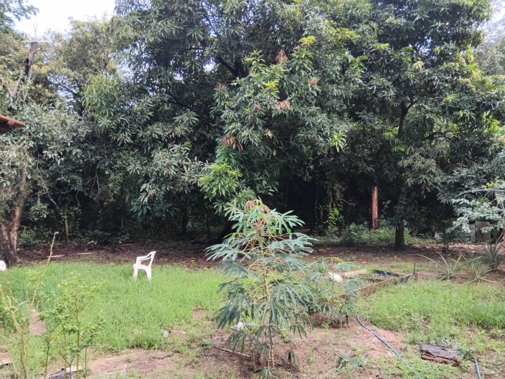Chácara à venda em Jardim Oriental, Catanduva - foto 18 de 18