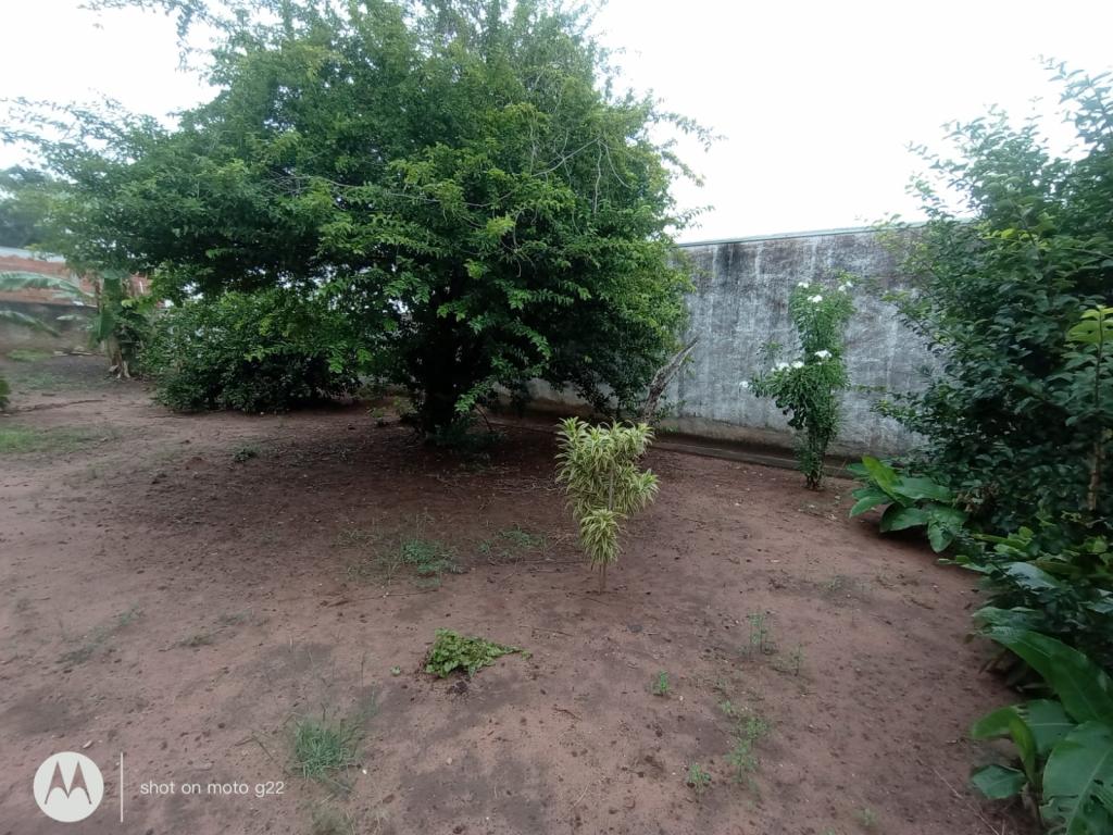 Casa à venda em Centro, Catanduva - foto 26 de 27