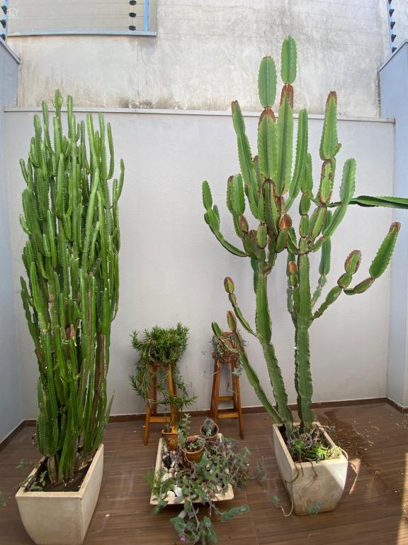 Casa à venda em Vivenda 7 De Setembro, Catanduva - foto 4 de 16