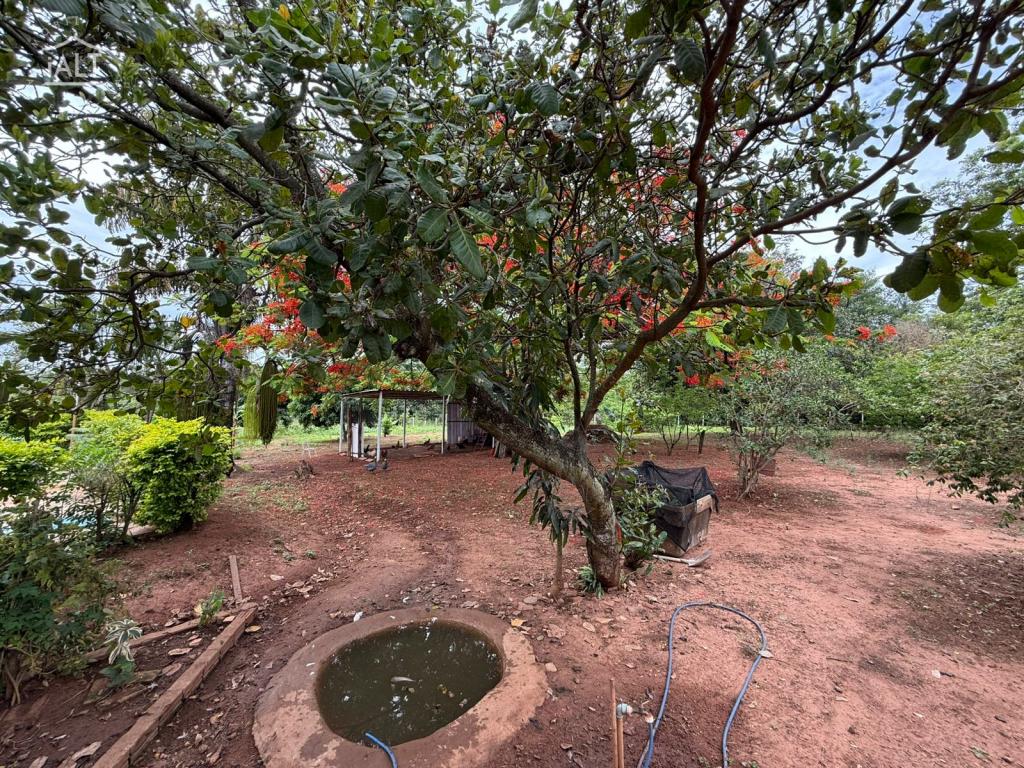 Chácara à venda em Jardim Dos Coqueiros Ii, Catanduva - foto 9 de 16