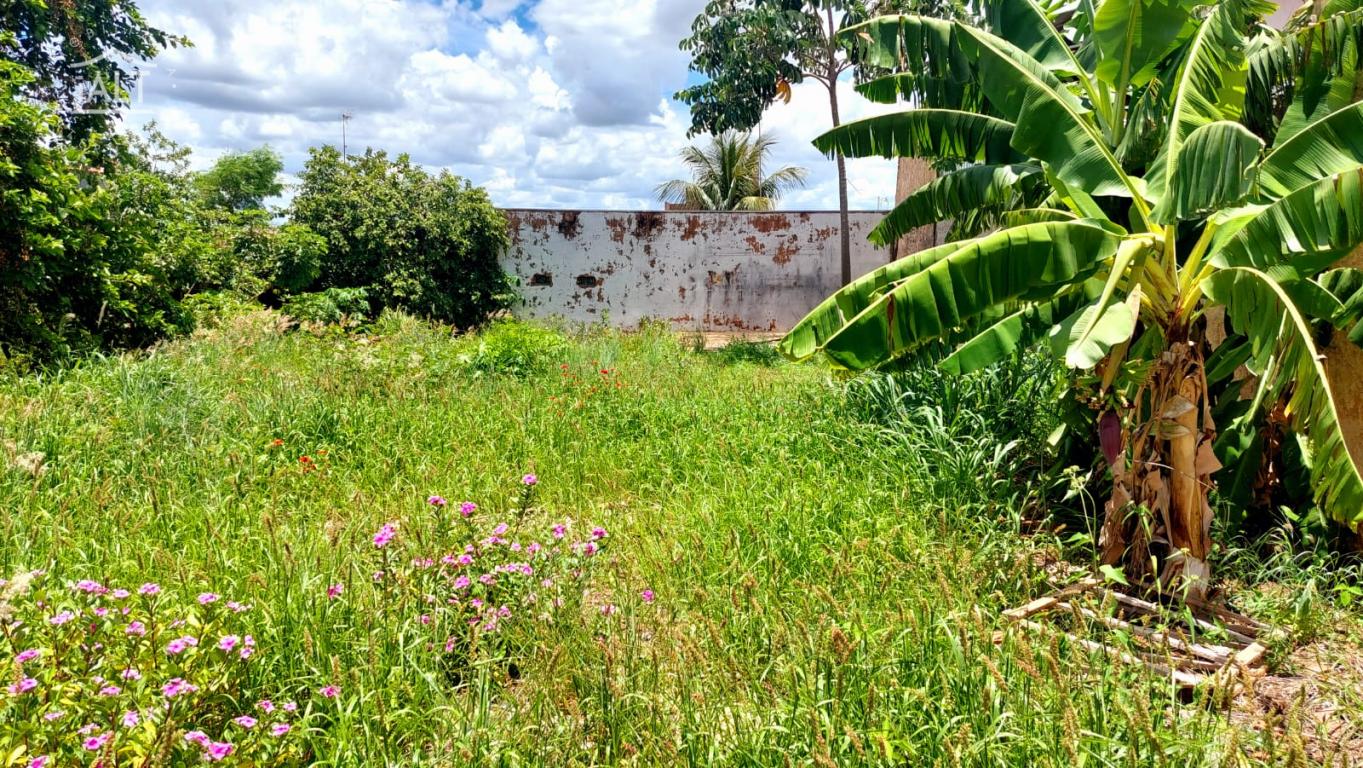 Terreno à venda em Jardim Ipanema, Catanduva - foto 2 de 3