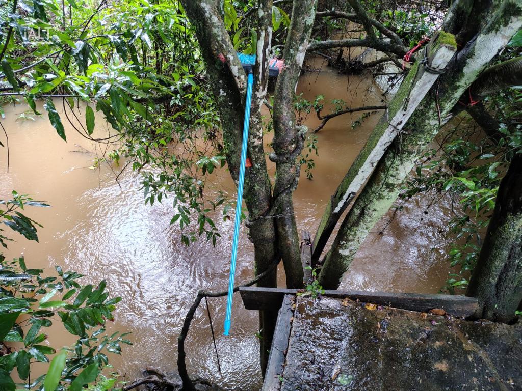 Sítio à venda em Rural, Agulha - foto 29 de 29