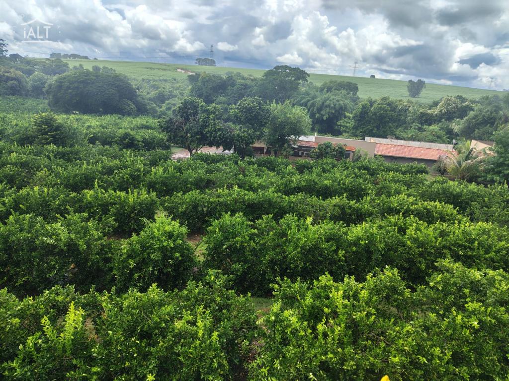 Sítio à venda em Rural, Agulha - foto 25 de 29
