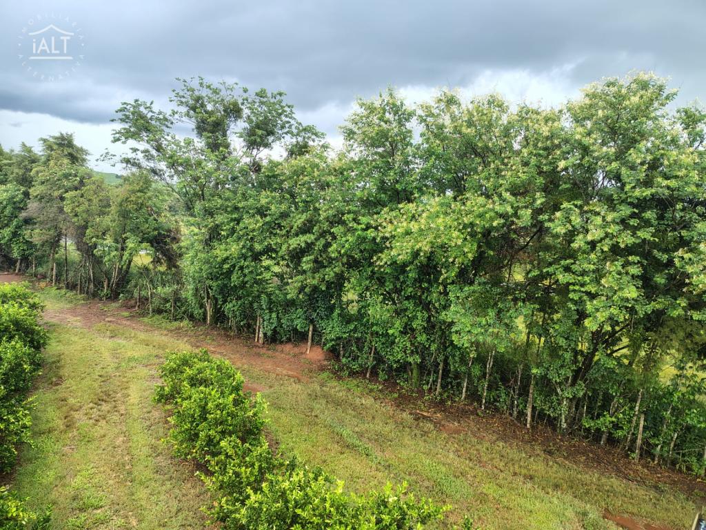 Sítio à venda em Rural, Agulha - foto 27 de 29