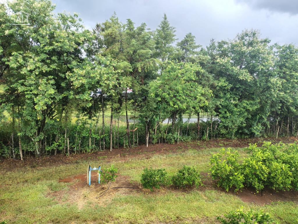 Sítio à venda em Rural, Agulha - foto 28 de 29