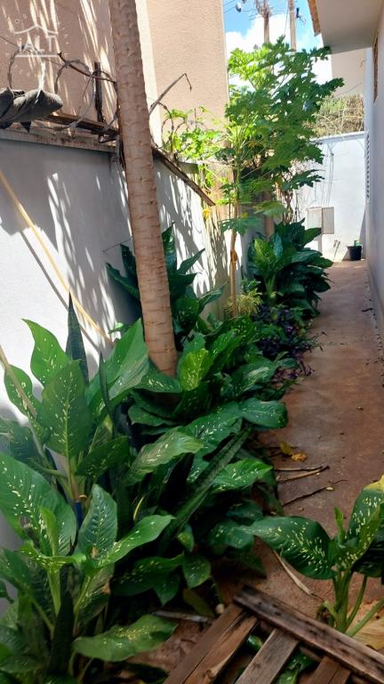 Casa à venda em Residencial Pedro Monteleone, Catanduva - foto 6 de 14