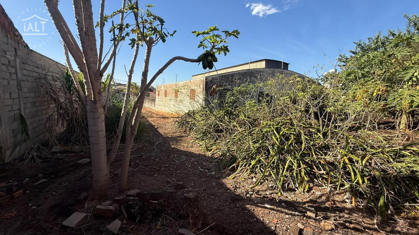 Casa à venda em Vila Paulista, Catanduva - foto 12 de 13