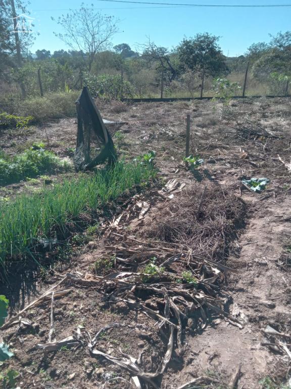 Chácara à venda em Jardim Esplanada, Termas De Ibira - foto 3 de 11