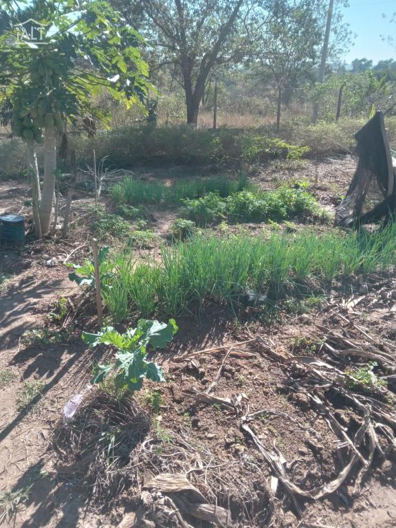 Chácara à venda em Jardim Esplanada, Termas De Ibira - foto 4 de 11