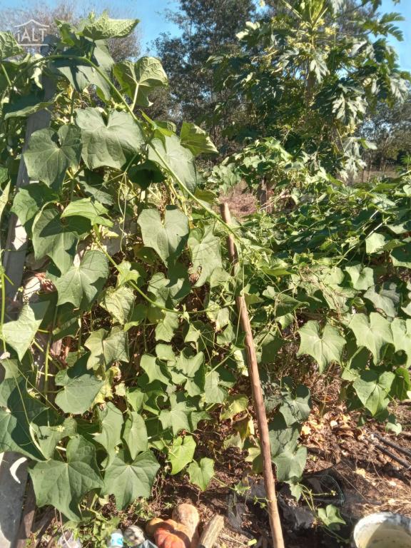 Chácara à venda em Jardim Esplanada, Termas De Ibira - foto 6 de 11