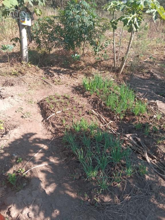Chácara à venda em Jardim Esplanada, Termas De Ibira - foto 7 de 11