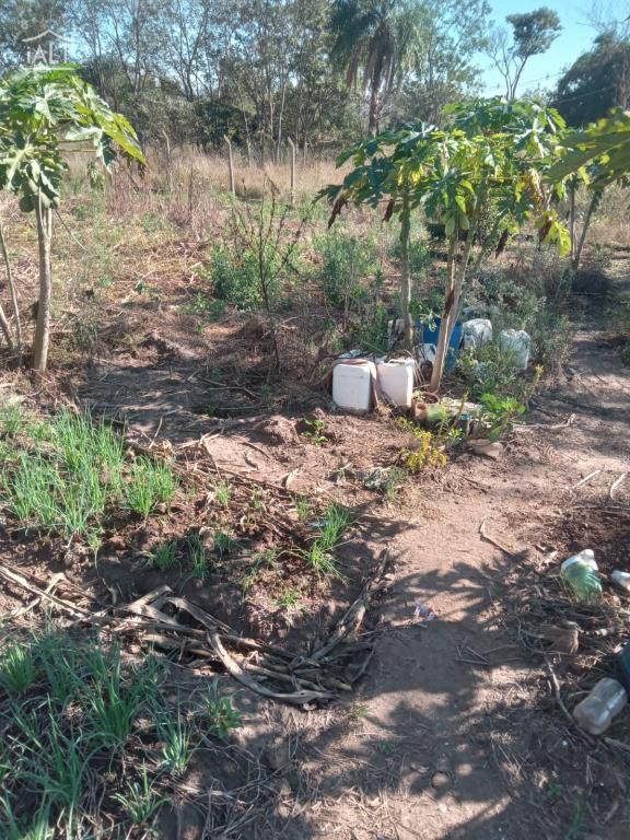Chácara à venda em Jardim Esplanada, Termas De Ibira - foto 8 de 11