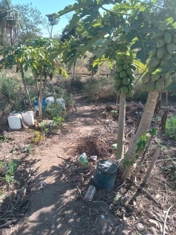 Chácara à venda em Jardim Esplanada, Termas De Ibira - foto 9 de 11