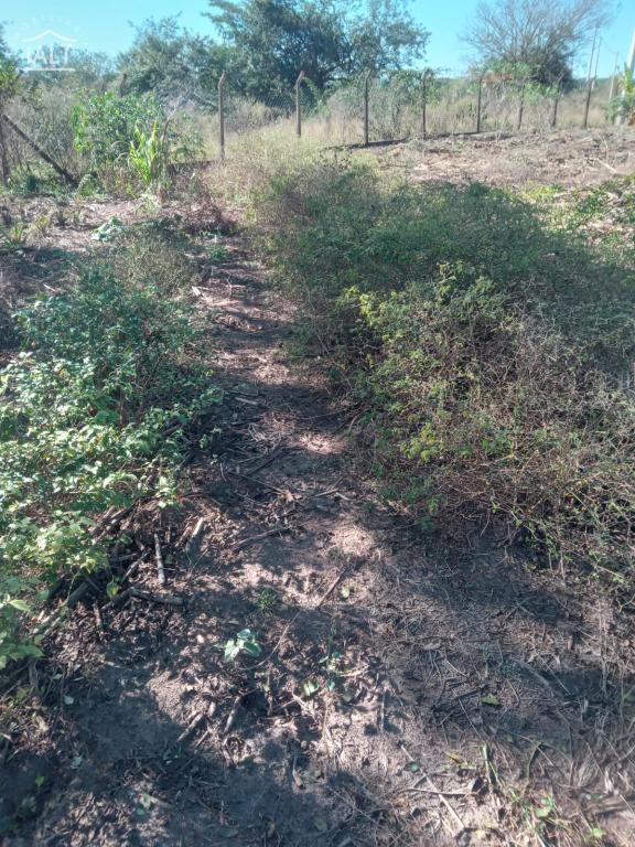 Chácara à venda em Jardim Esplanada, Termas De Ibira - foto 11 de 11