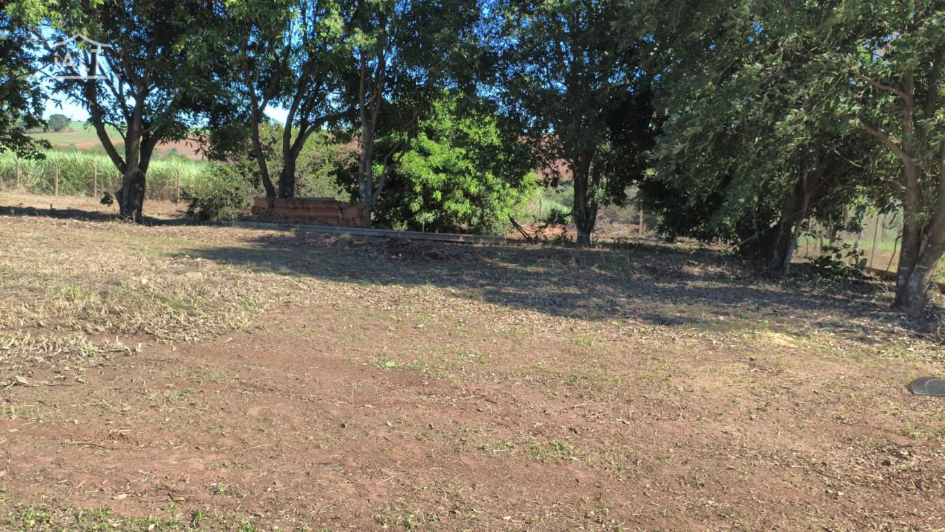 Chácara à venda em Rural, Catigua - foto 2 de 6
