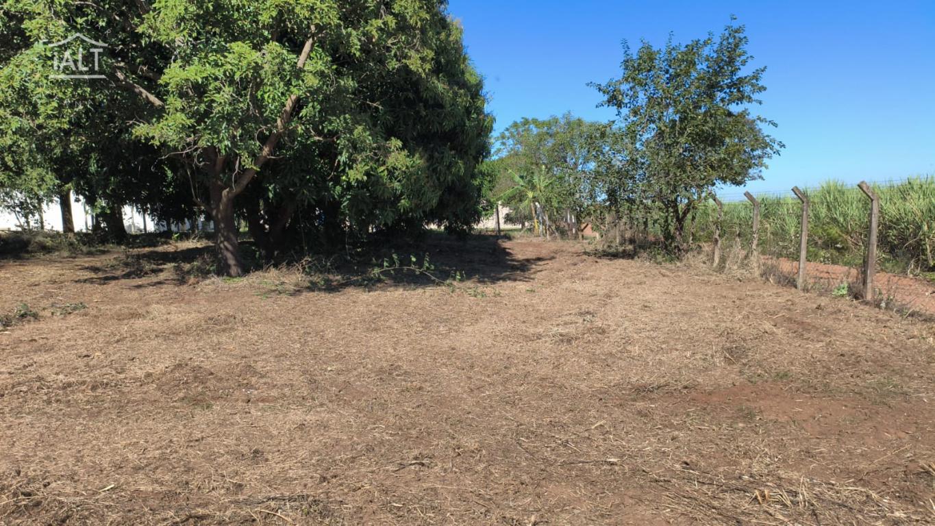Chácara à venda em Rural, Catigua - foto 4 de 6