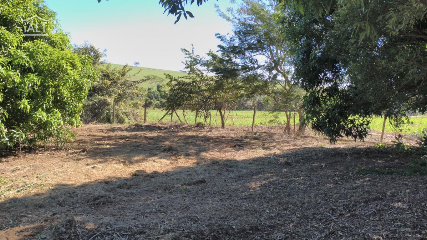 Chácara à venda em Rural, Catigua - foto 6 de 6