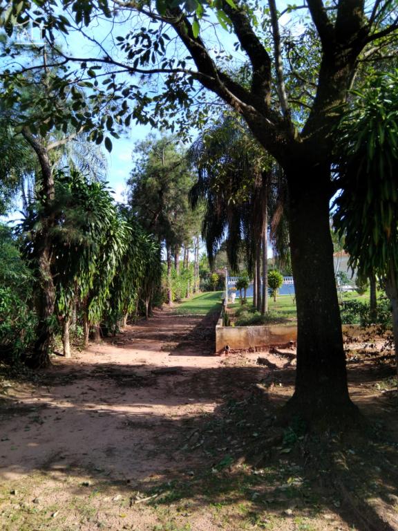 Chácara à venda em Jardim Oriental, Catanduva - foto 36 de 36