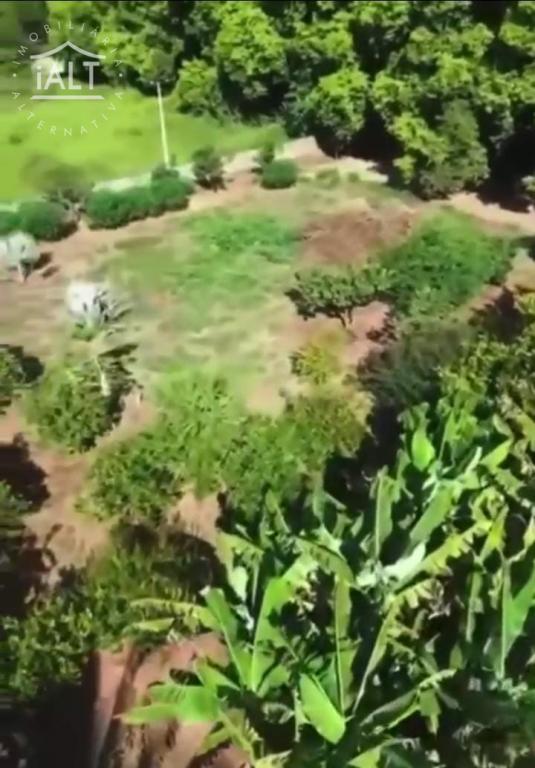 Chácara à venda em Estrela, Tabapua - foto 5 de 7