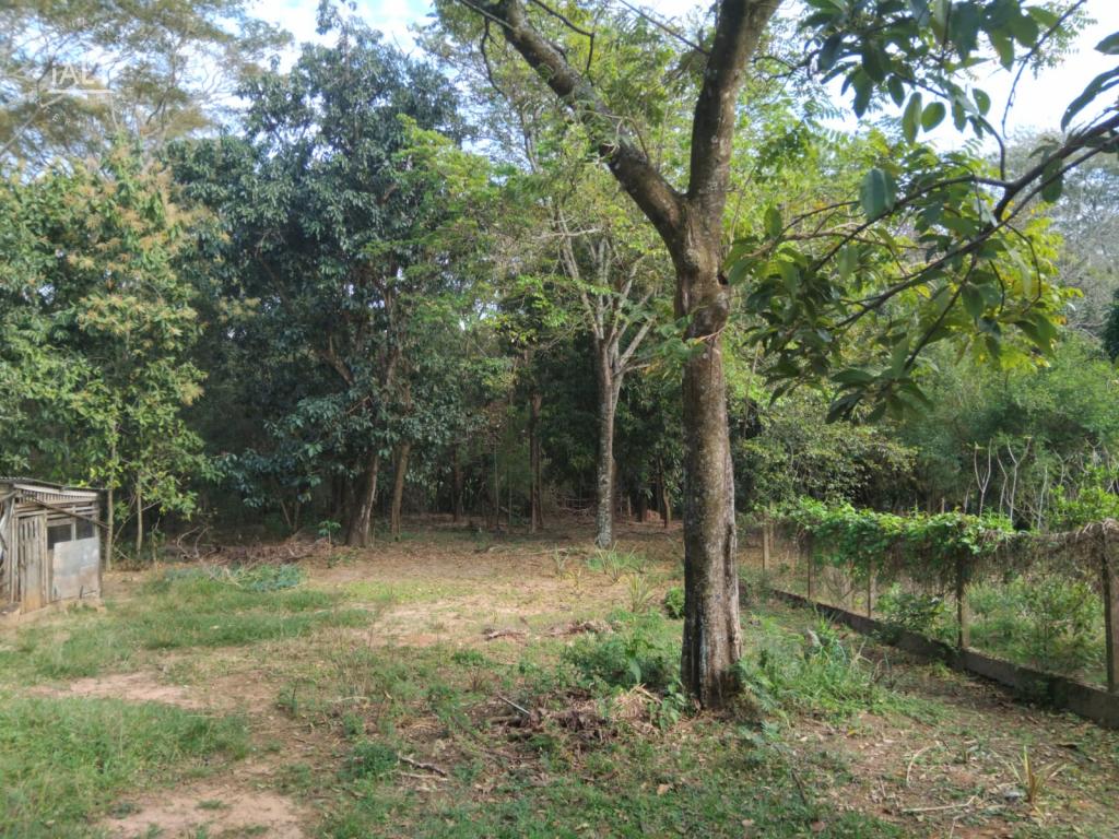 Terreno à venda em Jardim Dos Coqueiros Ii, Catanduva - foto 7 de 8
