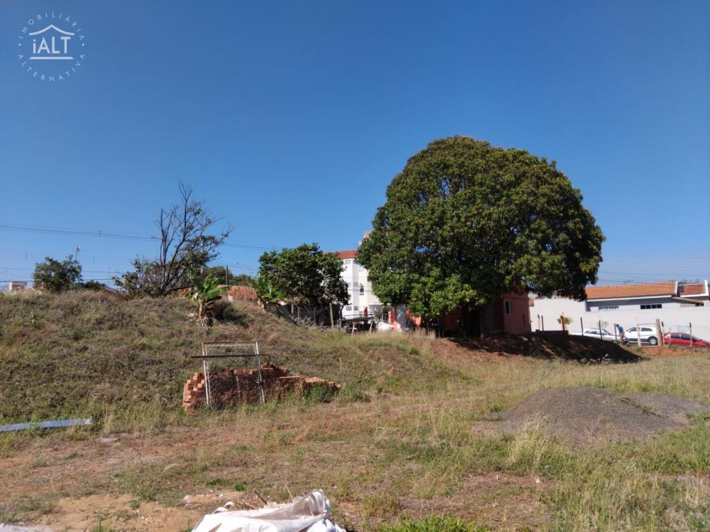 Terreno à venda em Jardim Soto, Catanduva - foto 7 de 8
