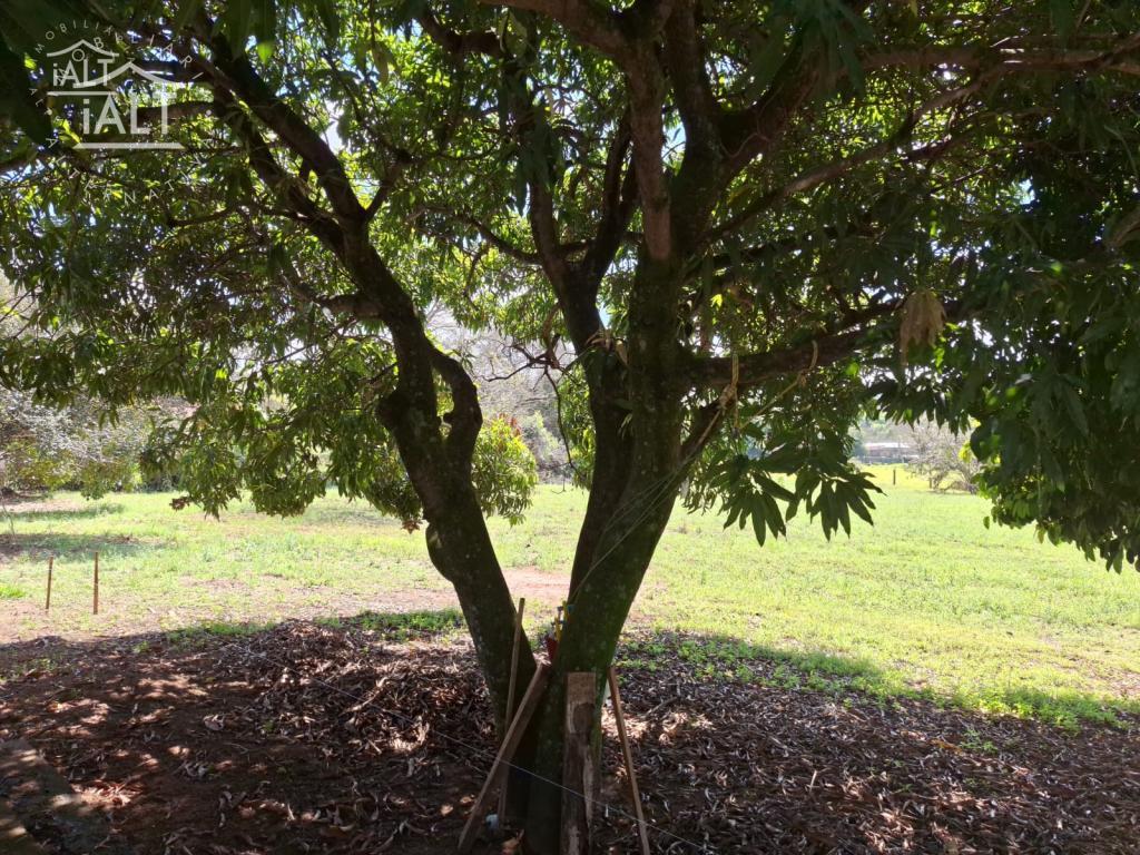 Chácara à venda em Jardim Oriental, Catanduva - foto 8 de 14