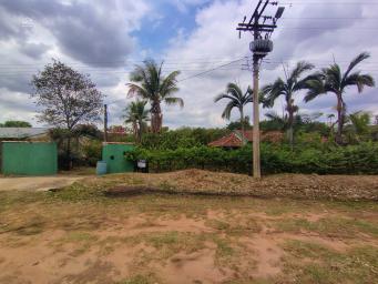 properties